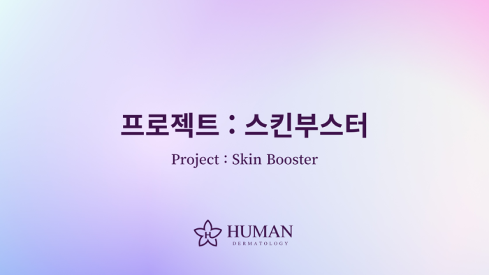 시술정보
