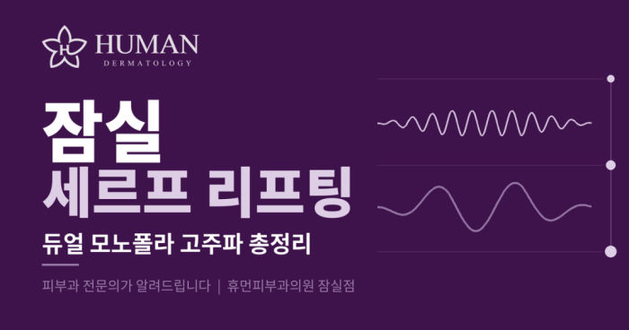 시술정보